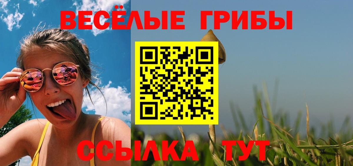 Новый Уренгой  Псилоцибиновые грибы прущие грибы  Вход с VPN 